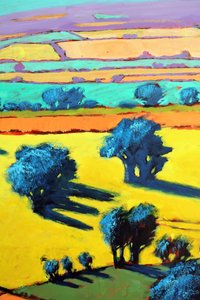 Cotswold Way Nahaufnahme 8 von Paul Powis