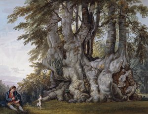 Ein Junge lässt einen Hund am Stamm einer alten knorrigen Buche tanzen von Paul Sandby
