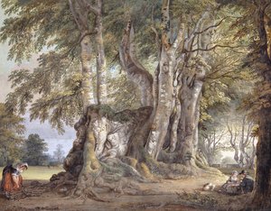 Ein Bauernmädchen sammelt Zweige, und Figuren sitzen am Stamm einer alten knorrigen Buche von Paul Sandby