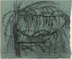 Blühender Obstbaum