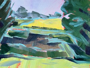 Lebendige Feldlandschaft
