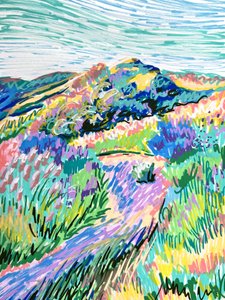 Lebendige Wiesenlandschaft