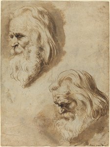 Zwei Studien eines alten Männerkopfes von Paulus Pontius after Sir Peter Paul Rubens
