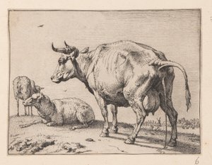 Die Pissende Kuh, aus Verschiedene Ochsen und Kühe