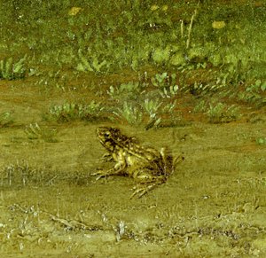 Kröte, Detail eines Landsmanns mit seiner Herde, 1648 von Paulus Potter