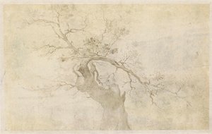 Studie eines knorrigen Baumes