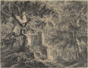 Ruinen an einem Waldstrom