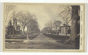 Hillhouse Avenue von Peck Brothers