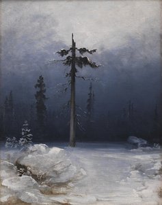 Baum in einem winterlichen Wald
