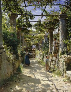 Im Schatten einer italienischen Pergola, ein warmer Nachmittag in Anacapri von Peder Monsted