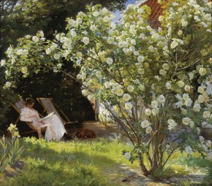 Rosen. Marie Krøyer sitzt im Liegestuhl im Garten von Frau Bendsens Haus