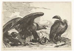 Geier und ein Adler mit Schlange von Peeter Boel (attributed to)