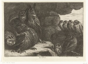 Eulen in einer Höhle (Vögel aus der Menagerie von Versailles)