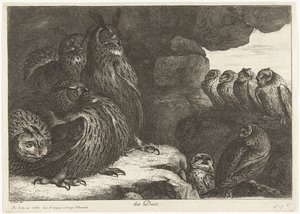 Eulen in einer Höhle
