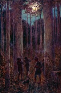 Der australische Wald bei Nacht, "Mondschein"-Opossums