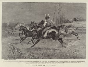 Buschleben in Australien von Percy F.S. Spence