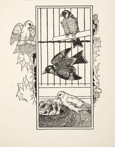 Ein wohltätiger Kanarienvogel, aus Hundert Anekdoten über Tiere, veröffentlicht 1924 von Percy J. Billingshurst