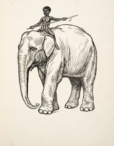 Reue, aus Hundert Anekdoten über Tiere, veröffentlicht 1924