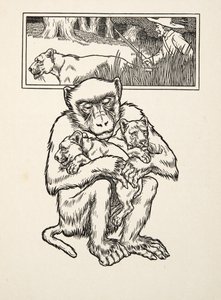 Hilfe erbitten, aus Hundert Anekdoten von Tieren, veröffentlicht 1924 von Percy J. Billingshurst