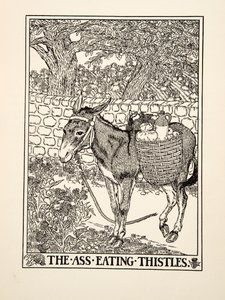 Der Esel, der Disteln frisst, aus Hundert Fabeln von Aesop, veröffentlicht 1903