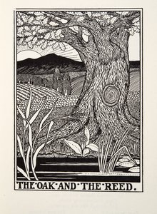 Die Eiche und das Schilfrohr, aus Fontaine Fabeln, veröffentlicht 1905