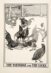Das Rebhuhn und die Hähne, aus Hundert Fabeln von Äsop, veröffentlicht 1903 von Percy J. Billingshurst