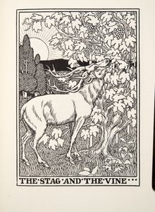 Der Hirsch und die Rebe, aus Fontaine Fabeln, veröffentlicht 1905