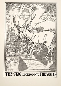 Der Hirsch, der ins Wasser schaut, aus Hundert Fabeln von Äsop, veröffentlicht 1903 (Gravur) von Percy J. Billingshurst