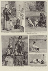 Das Elend des Einkaufens mit Frauen aus der Sicht eines Hundes von Percy Macquoid