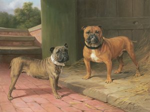 Ein roter Bulldogge und ein gestromter Bulldogge bei einer Scheune von Percy Thomas Earl