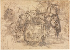 Tierskizzen (verso)