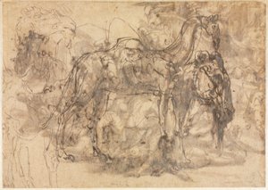 Tierskizzen verso, um 1545-47