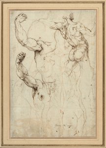 Studie eines nackten Rückens und zwei Studien eines Arms (recto); Nackter Rücken mit Nebenstudien einer Schulter und eines Beins (verso) von Perino del Vaga