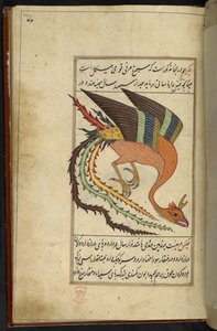 Der Simurgh, ein iranischer Donnervogel, aus 