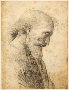 Büste eines Mannes, 1500-1503