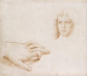 Studien eines Kopfes und einer Hand, spätes 15. - frühes 16. Jahrhundert von Perugino