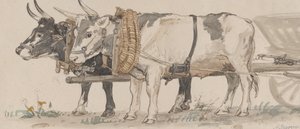 Zwei Ochsen ziehen einen Karren, 1874 von Peter Christian Thamsen Skovgaard