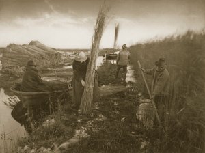 Während der Schilfernte, Leben und Landschaft auf den Norfolk Broads, ca. 1886