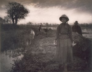 Poling das Marschheu, Leben und Landschaft auf den Norfolk Broads, 1886