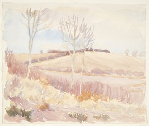 Landschaft auf Fünen. Frühling