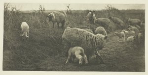 Eine Märchenpastorale (Suffolk) von Peter Henry Emerson