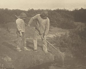 Aal-Fischen in den Gewässern von Suffolk