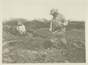 Ginster-Schneiden auf einem Suffolk-Gemeindeplatz von Peter Henry Emerson