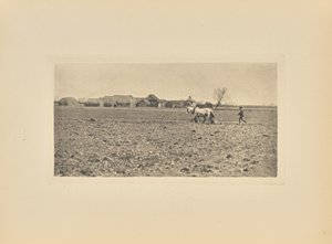[Marsh Farm im frühen Frühling]