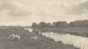 Am Fluss Bure von Peter Henry Emerson