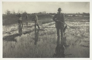 Schnepfenjagd von Peter Henry Emerson
