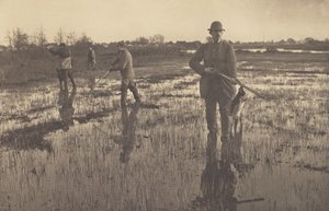 Schnepfenjagd von Peter Henry Emerson