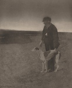 Der Wilderer - Ein Hase in Sicht