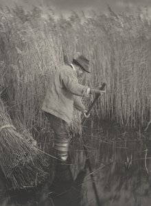 Ein Schilfschneider bei der Arbeit von Peter Henry Emerson and T.F. Goodall
