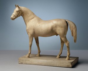 Ungesatteltes Pferd